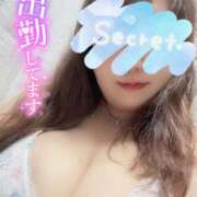 ヒメ日記 2025/04/11 20:18 投稿 しほ ちゃんこ大阪伊丹空港豊中店