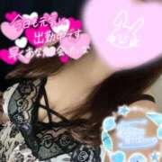 ヒメ日記 2025/09/12 20:03 投稿 しほ ちゃんこ大阪伊丹空港豊中店