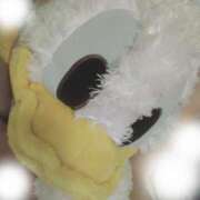 ヒメ日記 2025/11/06 22:16 投稿 ななせ 北九州人妻倶楽部（三十路、四十路、五十路）