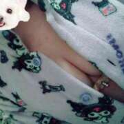 ヒメ日記 2026/02/17 04:15 投稿 ななせ 北九州人妻倶楽部（三十路、四十路、五十路）