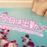 ヒメ日記 2025/02/26 19:14 投稿 みほ 千葉人妻花壇