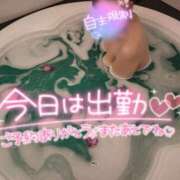 ヒメ日記 2025/03/20 13:01 投稿 みほ 千葉人妻花壇