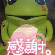 ヒメ日記 2025/04/01 22:02 投稿 みほ 千葉人妻花壇