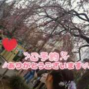 ヒメ日記 2025/04/04 22:24 投稿 みほ 千葉人妻花壇