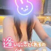 ヒメ日記 2026/02/19 09:36 投稿 みほ 千葉人妻花壇