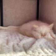 ヒメ日記 2025/11/15 00:24 投稿 ももか SWITCH（スイッチ）池袋店