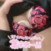 ルリエ 朝まで❤️ 川越スイートラバー