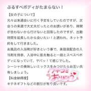 ヒメ日記 2025/11/17 02:07 投稿 ぷりん IRIS一宮