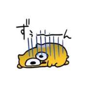 ヒメ日記 2025/11/17 13:37 投稿 ぷりん IRIS一宮