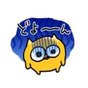 ヒメ日記 2025/11/19 12:10 投稿 ぷりん IRIS一宮