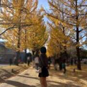 ヒメ日記 2025/11/24 23:08 投稿 ぷりん IRIS一宮