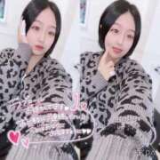 ヒメ日記 2025/12/04 13:18 投稿 ぷりん IRIS一宮