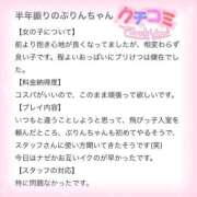 ヒメ日記 2025/12/11 11:49 投稿 ぷりん IRIS一宮