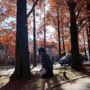 ヒメ日記 2025/12/12 11:49 投稿 ぷりん IRIS一宮