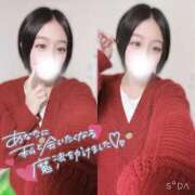 ヒメ日記 2025/12/12 15:19 投稿 ぷりん IRIS一宮