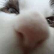 ヒメ日記 2026/01/25 17:18 投稿 ぷりん IRIS一宮