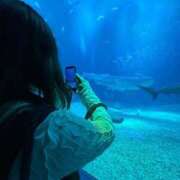 ヒメ日記 2026/04/14 13:19 投稿 ぷりん IRIS一宮