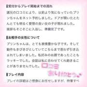 ヒメ日記 2026/09/13 00:12 投稿 ぷりん IRIS一宮