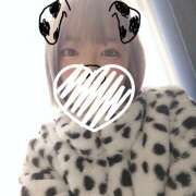 ヒメ日記 2024/12/09 10:13 投稿 みな ラブコレ