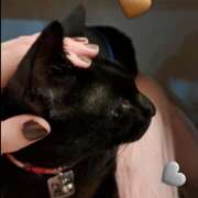 ヒメ日記 2024/12/13 14:13 投稿 みな ラブコレ