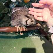 ヒメ日記 2024/12/14 11:25 投稿 みな ラブコレ