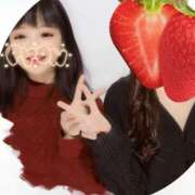 ヒメ日記 2025/03/13 09:09 投稿 みな ラブコレ