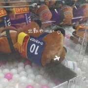 ヒメ日記 2025/03/15 09:11 投稿 みな ラブコレ