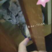 ヒメ日記 2025/04/24 19:19 投稿 みな ラブコレ