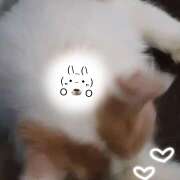 ヒメ日記 2025/05/14 21:48 投稿 みな ラブコレ