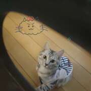 ヒメ日記 2025/05/17 01:13 投稿 みな ラブコレ