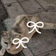 ヒメ日記 2025/07/25 15:19 投稿 みな ラブコレ