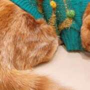 ヒメ日記 2025/12/19 09:56 投稿 みな ラブコレ