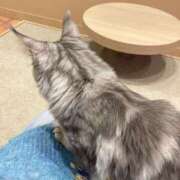 ヒメ日記 2025/12/19 22:50 投稿 みな ラブコレ