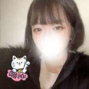 ヒメ日記 2026/02/06 13:33 投稿 みな ラブコレ