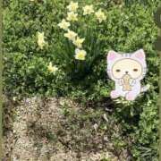 ヒメ日記 2026/03/15 11:20 投稿 みな ラブコレ