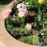 みな ※無題 ラブコレ