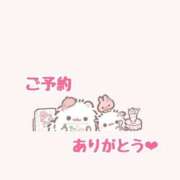 ヒメ日記 2025/02/25 18:57 投稿 そる 名古屋ちゃんこ