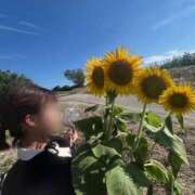 ヒメ日記 2025/08/01 19:17 投稿 そる 名古屋ちゃんこ