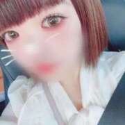 ヒメ日記 2025/08/16 07:57 投稿 そる 名古屋ちゃんこ