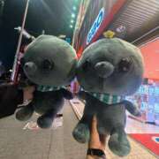 ヒメ日記 2026/03/01 13:28 投稿 そる 名古屋ちゃんこ