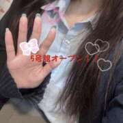 ヒメ日記 2025/04/18 15:50 投稿 ここな 2980円