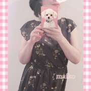 ヒメ日記 2025/04/19 11:27 投稿 まいこ 新宿ミセスラウンジ東京