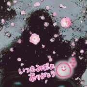 ヒメ日記 2025/03/28 18:29 投稿 水沢　琴音 イラマチーオ新宿店