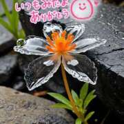 ヒメ日記 2025/04/06 18:49 投稿 水沢　琴音 イラマチーオ新宿店