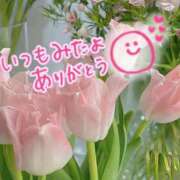 ヒメ日記 2025/04/21 18:09 投稿 水沢　琴音 イラマチーオ新宿店