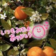 ヒメ日記 2025/05/04 00:59 投稿 水沢　琴音 イラマチーオ新宿店