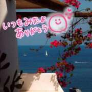 ヒメ日記 2025/05/07 01:19 投稿 水沢　琴音 イラマチーオ新宿店