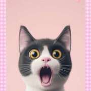 ヒメ日記 2025/05/10 03:19 投稿 水沢　琴音 イラマチーオ新宿店