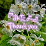 ヒメ日記 2025/05/16 01:39 投稿 水沢　琴音 イラマチーオ新宿店