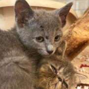 ヒメ日記 2025/05/17 00:39 投稿 水沢　琴音 イラマチーオ新宿店